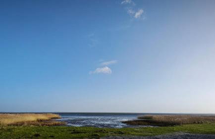 Ferienhaus am Gutspark 3, Klausdorf, ca 250 m bis zur Badestelle - Foto 27