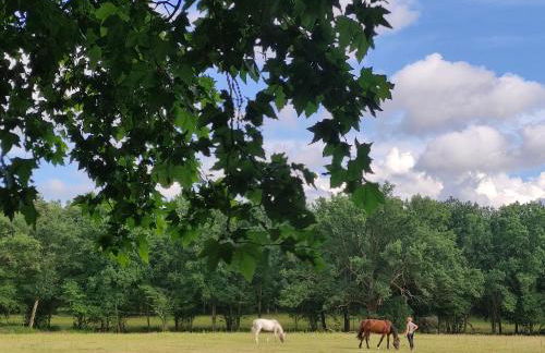 Gîte à la campagne Les Grandes Maisons Espace jacuzzi hammam SPA - Photo 16