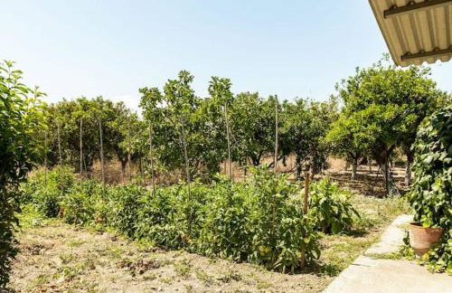 Mansion of 120 m2, with high ceilings and big yard - Foto 26