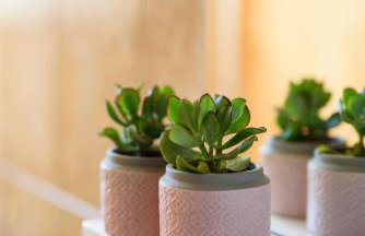 California Apartments - Foto 125