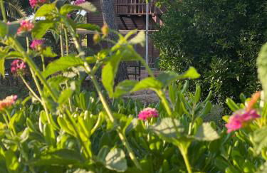 Villa Rosemary - Photo 27