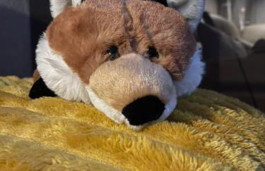 Ferienhaus Fuxbau - Foto 37