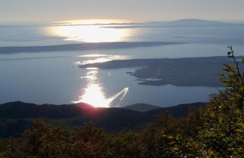 House Kaja - Photo 15