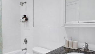 Luxury Oasis in Manhattan - Foto 2