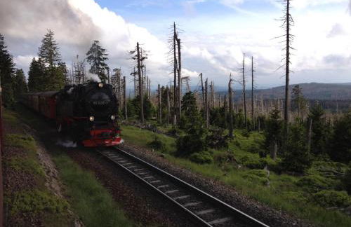 Ferienapartments am Brocken - Foto 10