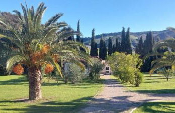 Casita Higo - Foto 35