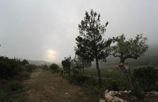 Masia Heredad La Boquilla - Foto 36