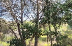 Guesthouse Quinta do Vale - Foto 52