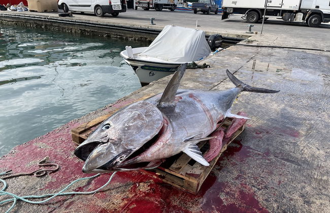 Ewa Apt - 3-bed Near Sliema - St Julians Seafront - Foto 32