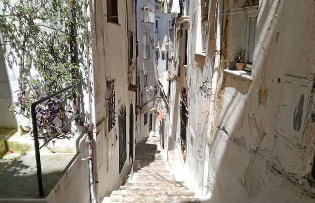 Casa Nettuno Sperlongaresort - Foto 22