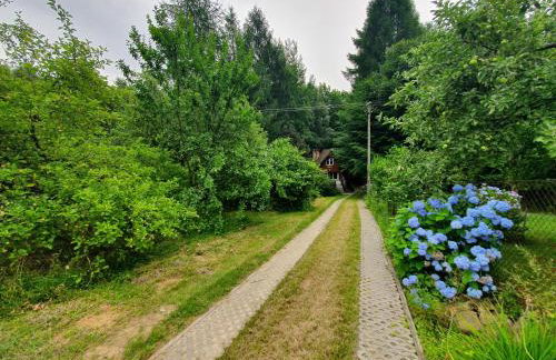 Leśny Zakątek - Foto 8