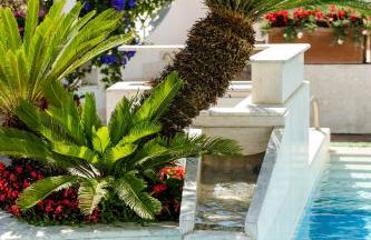 Villa Araucaria - Foto 58