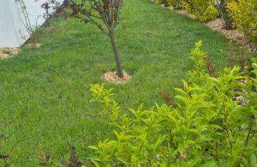 Oaza Relaksu Wigry -domek na wyłączność - Foto 41