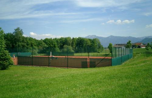 Ferienwohnungen Wagenstaller - Foto 19