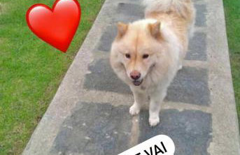 Casa Aconchegante Lazer e Descanso - Foto 80