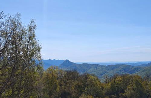 Ca l'Oriol - Photo 46