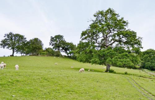 Cherrytree Cottage - 29937 - Photo 10