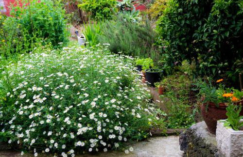 Casa el Nogal - Foto 40