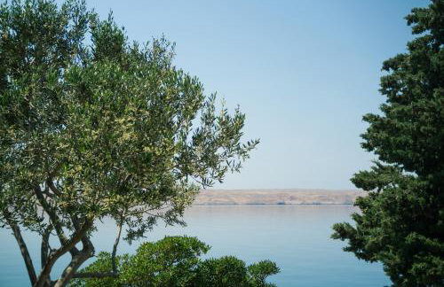 Barić Draga - Foto 22