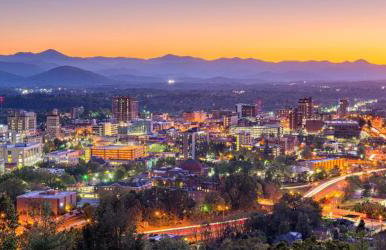Treetops Cabin easy to Asheville with fast wifi and great view - Foto 23