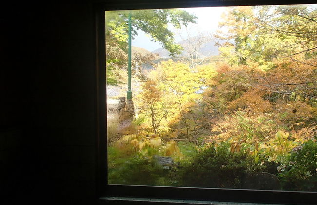 Miyori Furusato Taikenmura - Foto 34