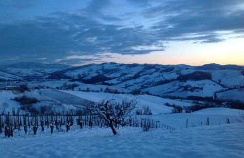 Agriturismo Cella di Montalto Pavese - Photo 38