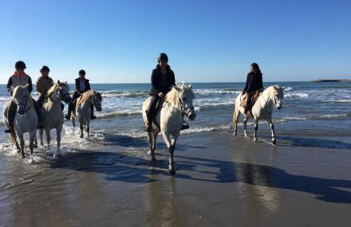 Gite Armieux - Foto 21