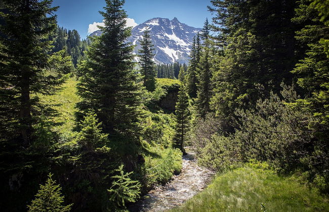 Modern Apartment 100 m From ski Area - Foto 37