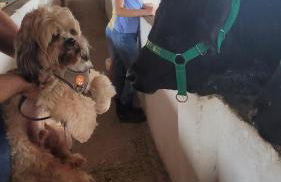 Flat 6-4A Hotel Monte Castelo Gravatá - até 3 quartos - Photo 14