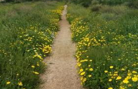 Nice apartment on the coast to relax and work - Foto 31