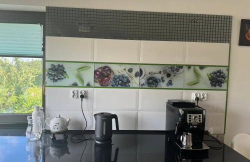 Jaśminowy Dom - Foto 26