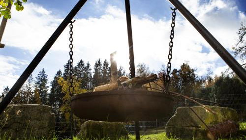 Ferienwohnung im Erzgebirge - Foto 3, Garden