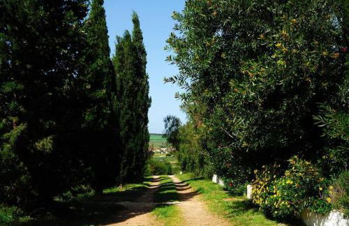 Vale do Guizo: Casa Poente on the contryside, close by the sea. - Photo 25