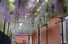 Casa Vacanze Mimose - Foto 28