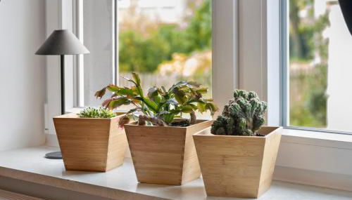 Ferienwohnung Aurelia - Foto 3