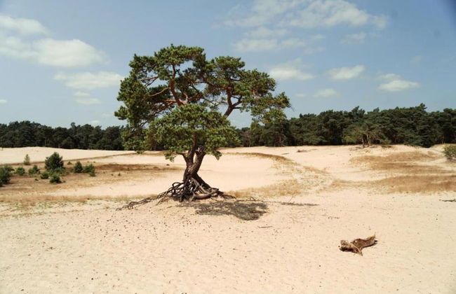 Holiday Home in Kattendijke Near Scheldt - Foto 36