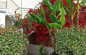 Stylish 2BR Apartment near Igoumenitsa Port LEDEZA - Foto 11