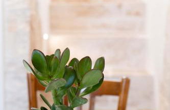 La chiave antica - Foto 14