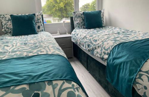 Dart Dream - Foto 16