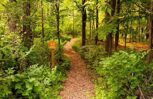 Private Adirondack Log Cabin, Hot Tub, Sauna & Swimming Hole, near Whiteface - Foto 42