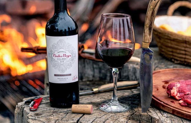 Santa Cruz River Kayak Tour - Foto 6