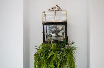 Plazuela del Carbón Suites - Foto 13