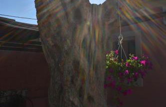 Casa Di Nina - Photo 17