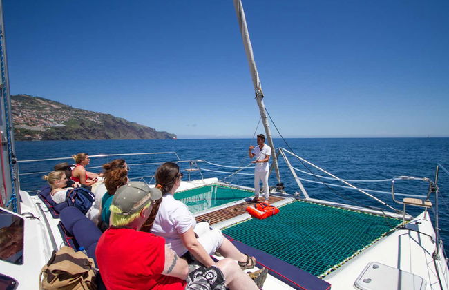 Whale & Dolphin Watching Cruise - Photo 3