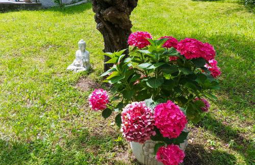 Tre Terre Ferienwohnung - Foto 32