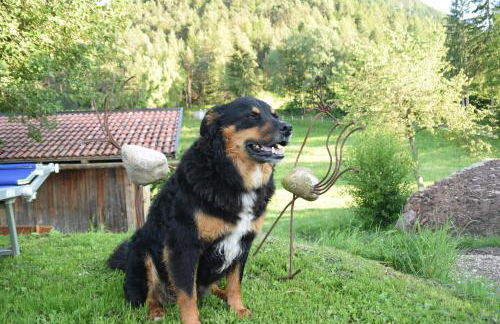 Flaschtal-Hof - Foto 13