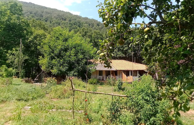 Castro Caldelas - Cottage - Sleeps 2 - Petfriendly - Foto 1