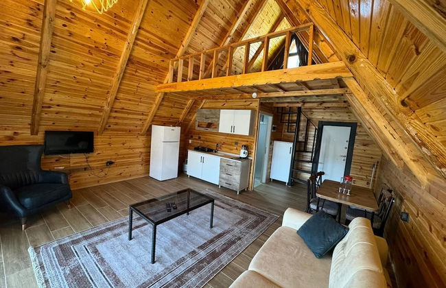 Ertu tatil evleri - Photo 9