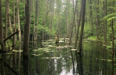 Apartament Kalimera - Foto 64