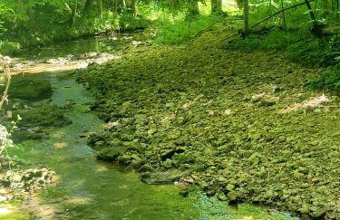 Echo Valley Outdoor Oasis Campsite - Foto 18